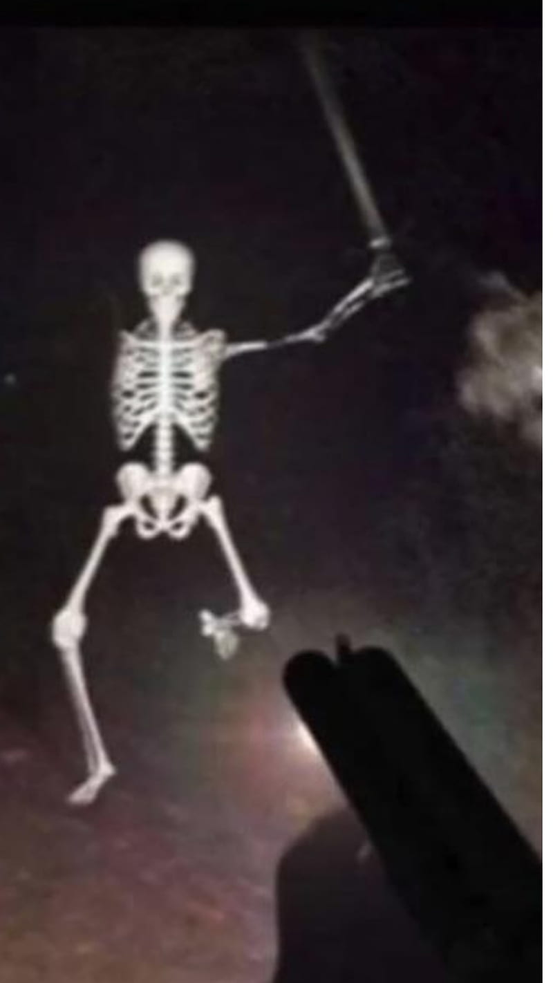 cursed skeleton, HD phone wallpaper