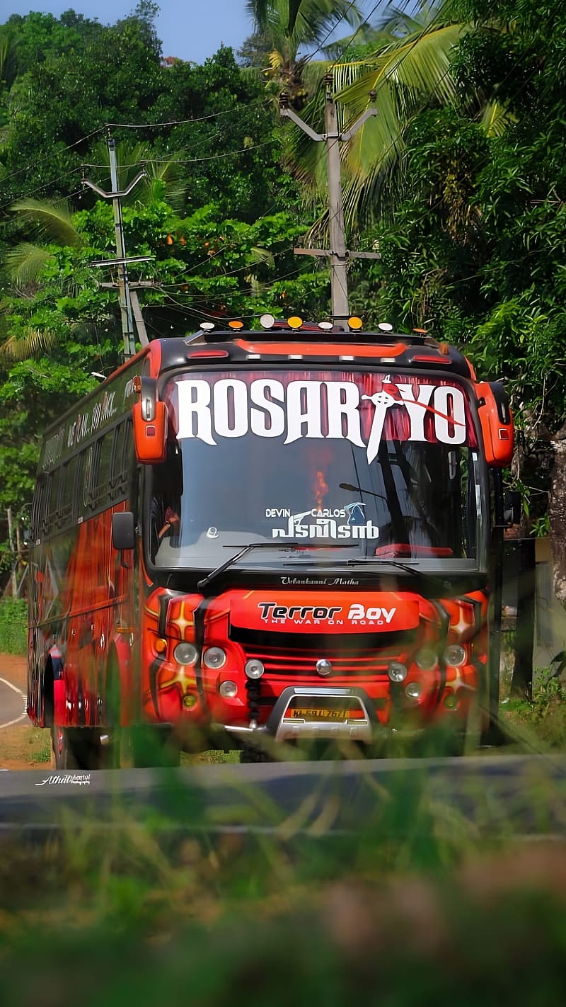 Tourist Bus, rosario, bus, HD phone wallpaper