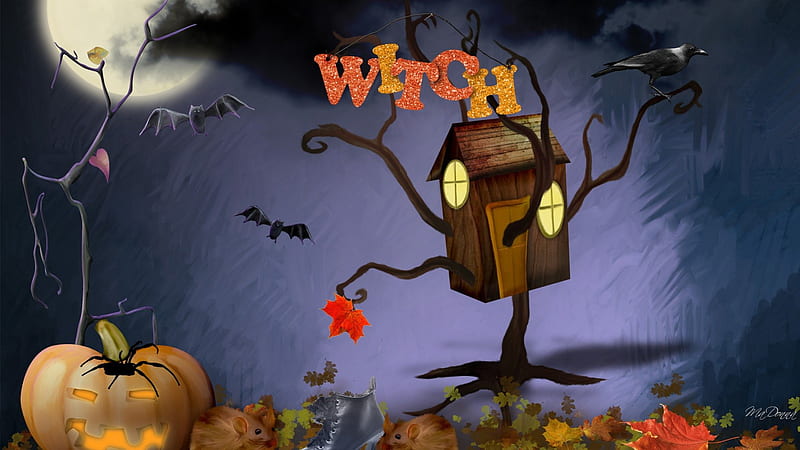 House of Witches, fall, autumn, bats, rats, spider, sky, clouds, October, web, full moon, Halloween, pumpkins, HD wallpaper