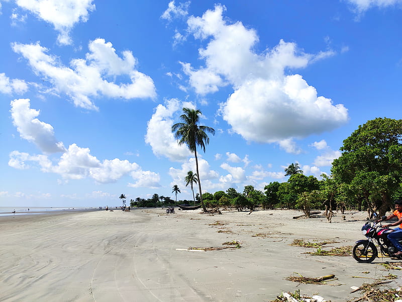 Beach View, bangladesh, clouds, kuakata, sands, sky, tree, water, HD wallpaper