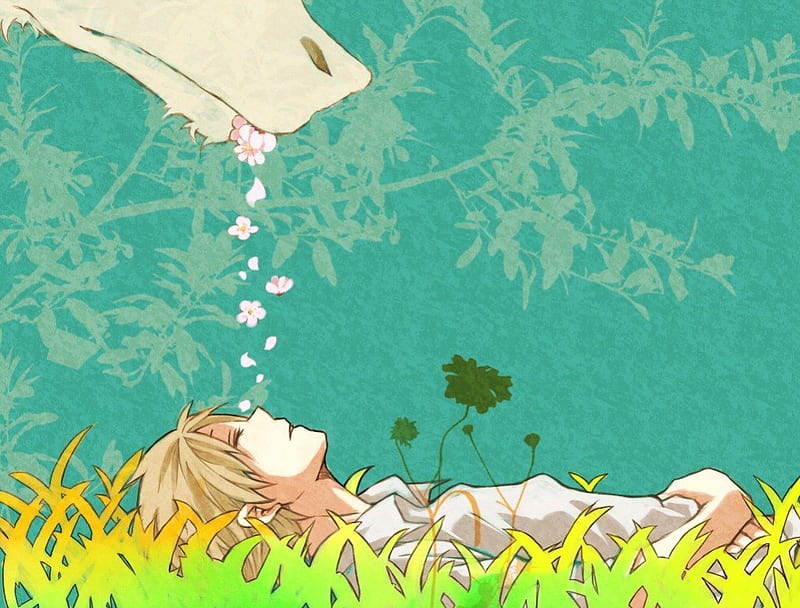 Natsume Yuujinchou, takashi natsume, madara, anime, HD wallpaper
