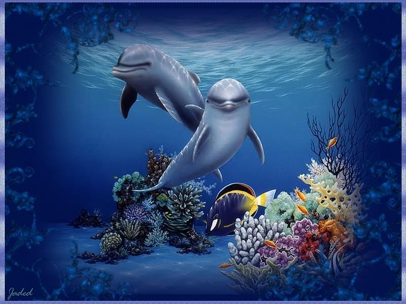 Underwater_enchantment, colorful, water, dolphins, fish, ocean, coral,  mammle, HD wallpaper | Peakpx