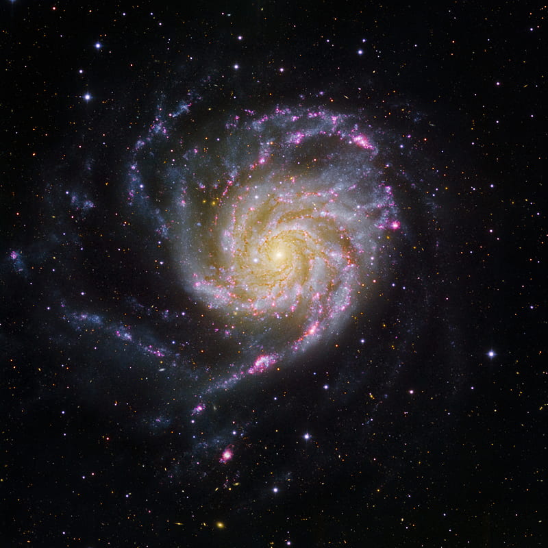 pinwheel galaxy, galaxy, glow, stars, space, HD phone wallpaper