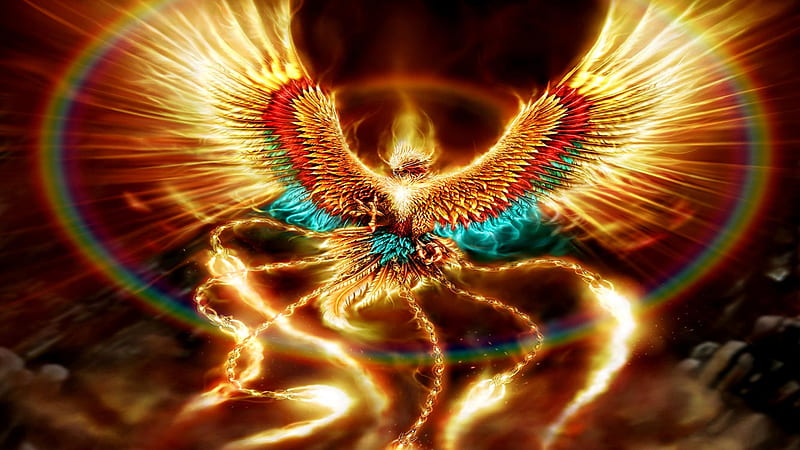 Phoenix Bird, lines, feathers, artwork, fire, colors, light, HD wallpaper