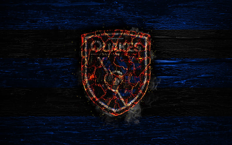 San Jose Earthquakes FC, fire logo, MLS, blue and black lines, american football club, grunge, football, soccer, logo, Western Conference, San Jose Earthquakes, wooden texture, USA, HD wallpaper