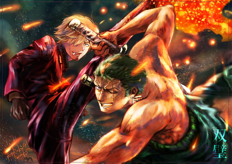 Roronoa Zoro vs Sanji One Piece, HD wallpaper