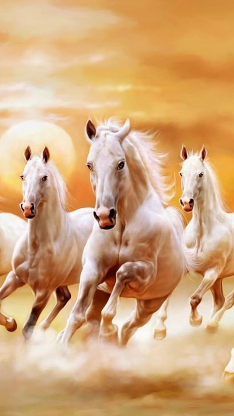 7 White Horse, 7 horse, white, HD phone wallpaper