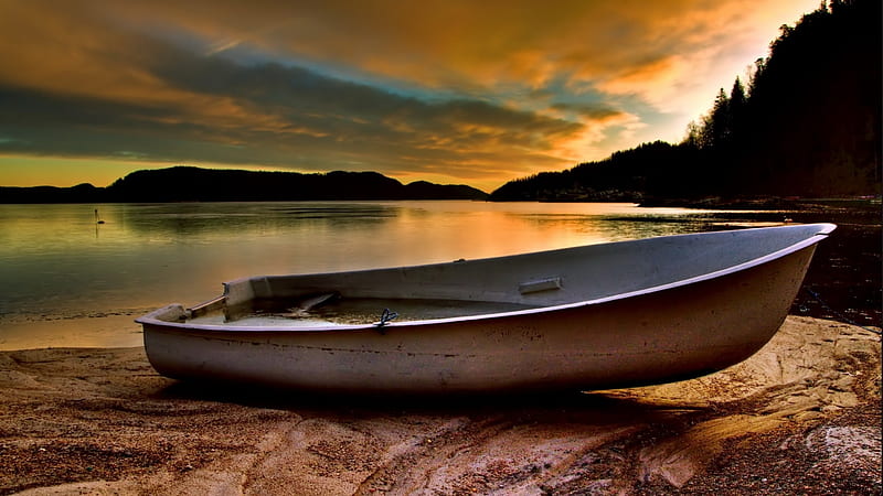 beached dingy, beach, water, sky, dingy, HD wallpaper