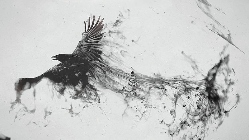 Raven Bird Art, raven, bird, artist, art, digital-art, HD wallpaper