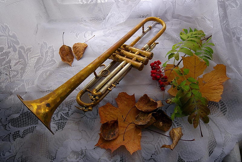 Fall Season, autumn, instrument, leaves, trumpet, colors, HD wallpaper