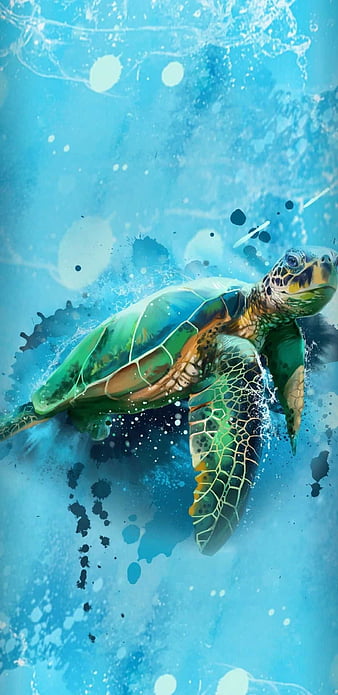 Sea Turtle Background | Turtle background, Turtle, Sea turtle