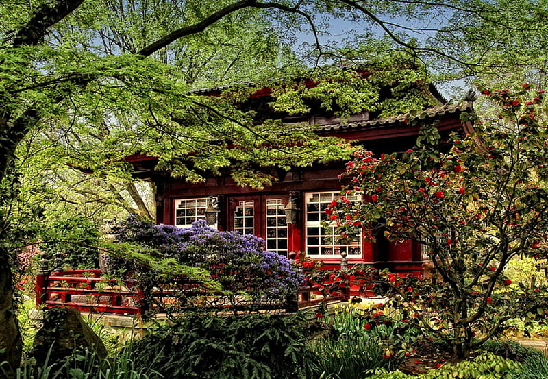 Garden House, red house, flowers, garden, trees, shrubs, HD wallpaper