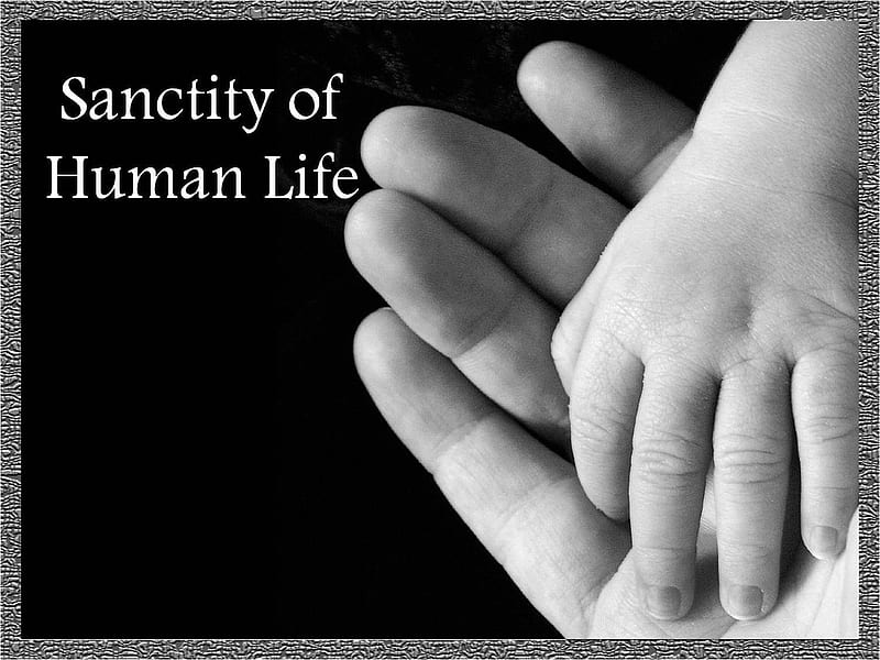 Sanctity of Human Life, hands, life, love, black and white, human life, sanctity, HD wallpaper