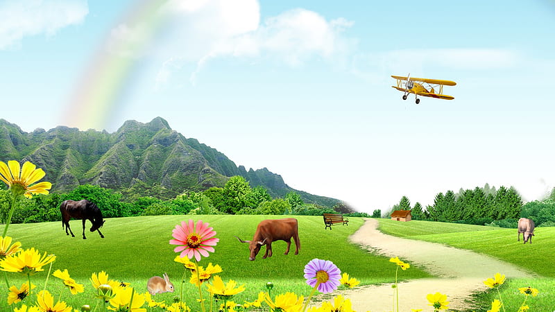 Tranquility, hills, bench, rainbow, horse, sky, clouds, barn, farm, mountain, airplane, cattle, flowers, road, field, cows, HD wallpaper