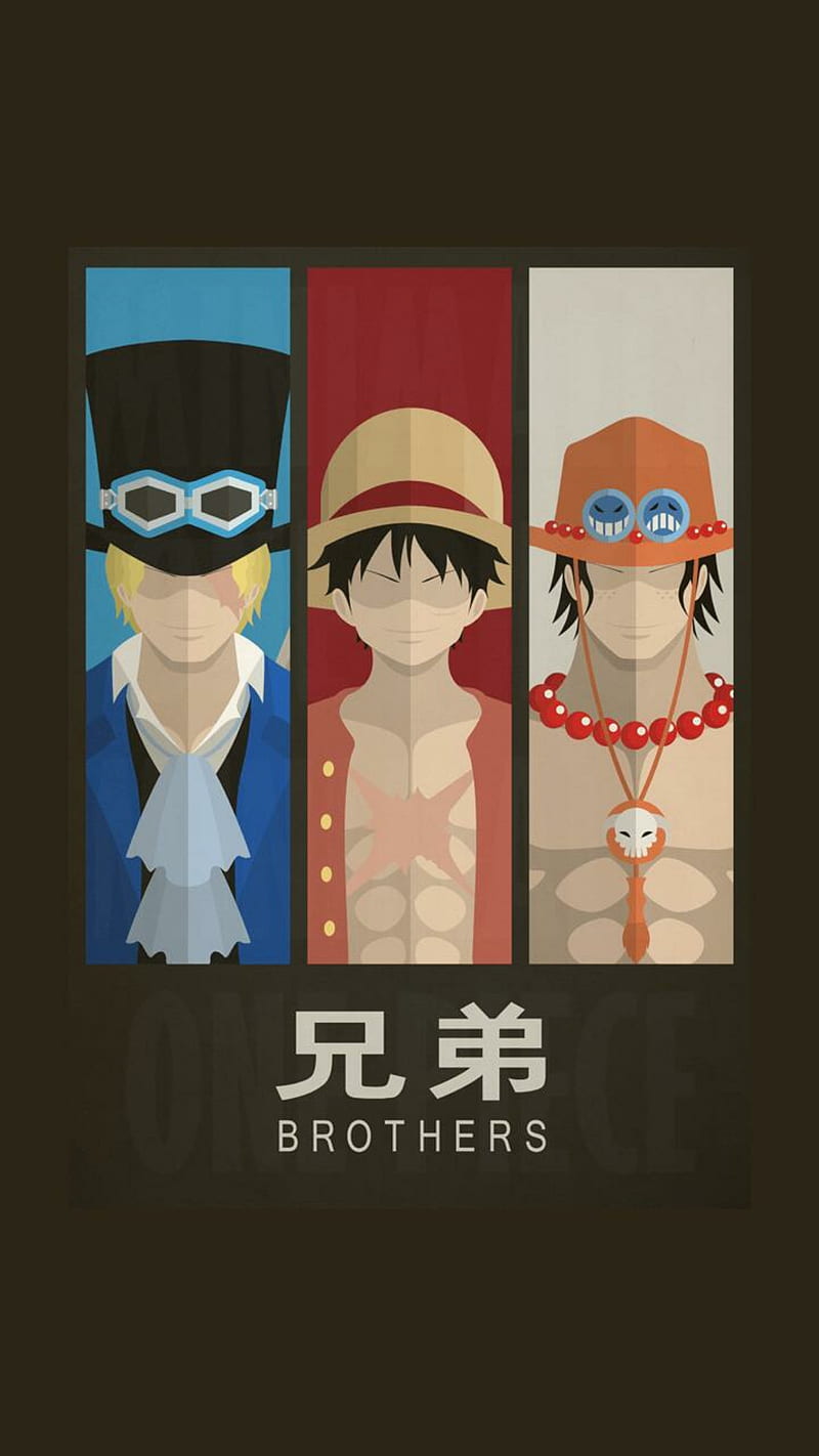 BROTHERS, anime, one piece, HD phone wallpaper | Peakpx
