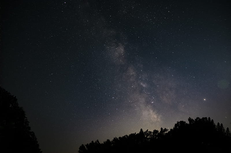 starry sky, night, space, trees, HD wallpaper