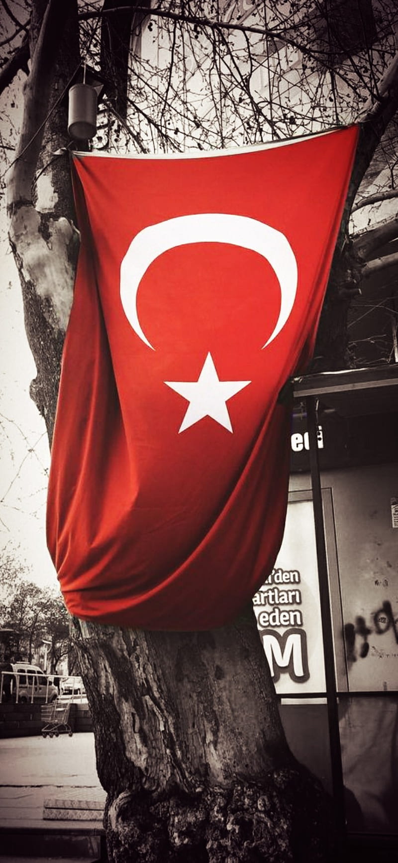 Ay Yildiz, ayyildiz, flag, red, sepia, turk, turkey, turkishflag, vatan, white, HD phone wallpaper