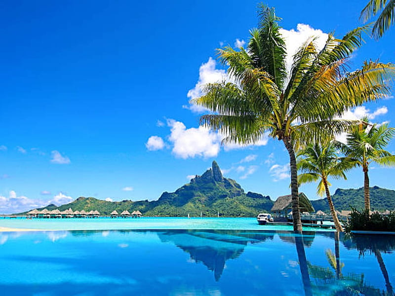 Bora Bora Island Resorts Palm Trees Pool Island Sky Hd Wallpaper