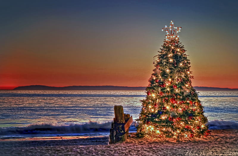 Christmas At The Beach, christmas tree, water, decoration, ocean, sunset, HD wallpaper