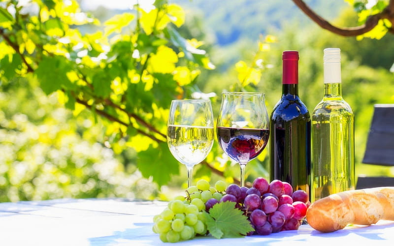 Red & White Wines, lovely still life, autumn, vineyards, wine, glasses, love four seasons, autumn beauty, attractions in dreams, grapes, white wine, red wine, graphy, breads, HD wallpaper