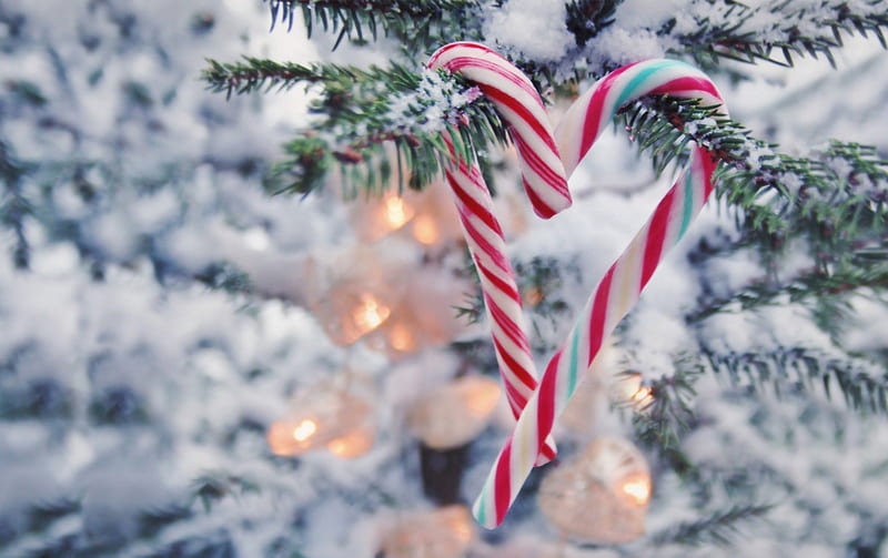 Christmas, holidays, christmas, bonito, lights, winter, graphy, snow, snowflakes, love, heart, candy cane, HD wallpaper