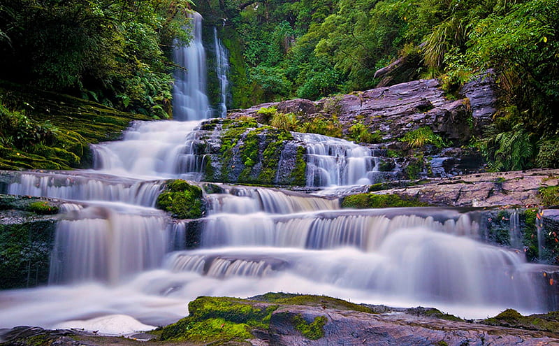McLean Falls, New Zealand, Forest, New Zealand, Waterfall, Rocks, Nature, HD wallpaper