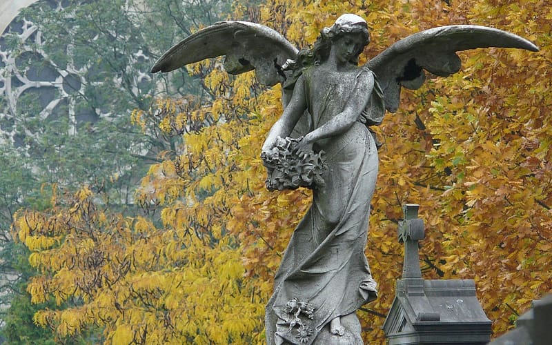 Man Made, Angel Statue, HD wallpaper | Peakpx