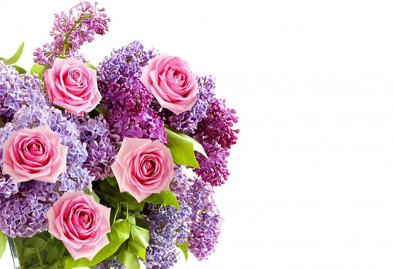 For my dear (Purple-Haze), purple, bouquet, flowers, beauty, nature, roses, pink, HD wallpaper