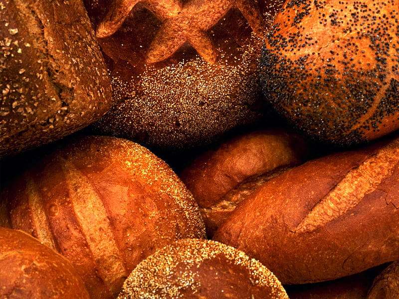 Grain Products, meal, graphy, food, bread, grain product, wholemeal, repast, comestible, HD wallpaper
