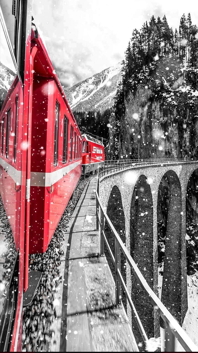 Red train, black and white, black and white, bridge, bw, travel, HD phone wallpaper