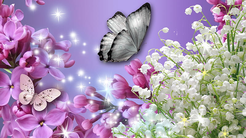 Lilac Fever, lilac, stars, lily of the valley, spring, lavender, dazzle, sparkle, butterfly, purple, pink, HD wallpaper