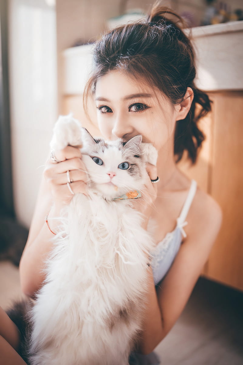 Asian, women, model, indoors, women indoors, looking at viewer, cats, animals, mammals, Chinese, Chinese model, HD phone wallpaper