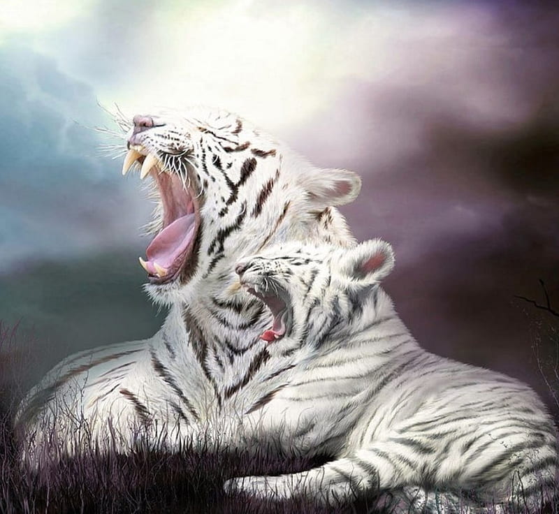 White Tigers, painting, cub, predators, artwork, HD wallpaper