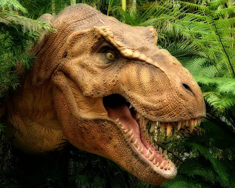 T-Rex in the Jungle, T-Rex, Dinosaur, Jungle, Nature, HD wallpaper