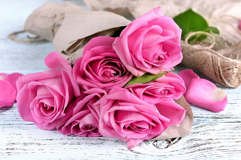 Pink Roses, table, still life, string, roses, pink, HD wallpaper | Peakpx