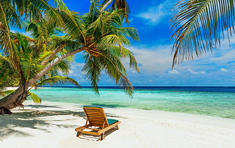 Tropical rest, rest, exotic, sun, ocean, relax, bonito, palms, sea, beach, paradise, summer, tropics, sands, HD wallpaper