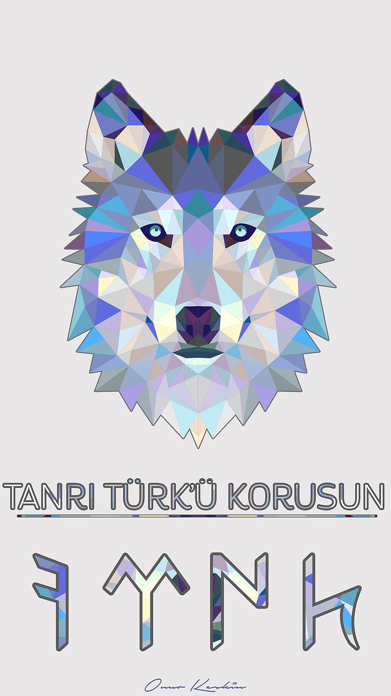 Turk, bozkurt, turkey, turkish, turkiye, wolf, HD phone wallpaper