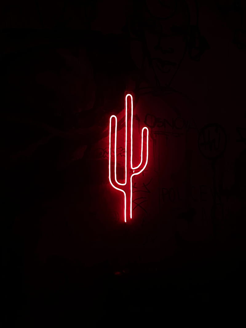 Cactus, neón, luz, rojo, oscuridad, Fondo de pantalla de teléfono HD |  Peakpx