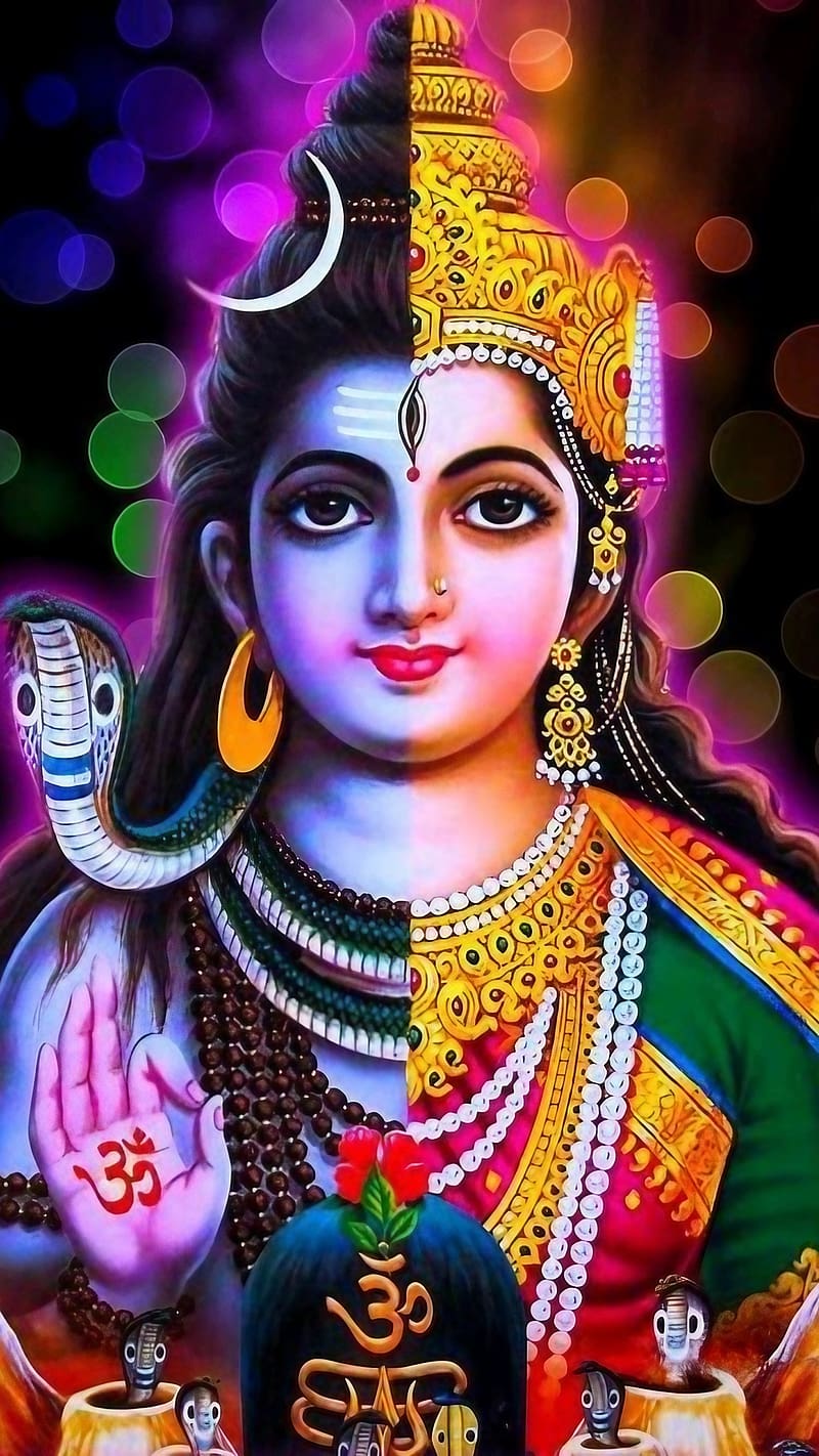 Shankar Ji Parvati Ka, Half Lord Shiva And Half Maa Parvati, mahadev, HD phone wallpaper