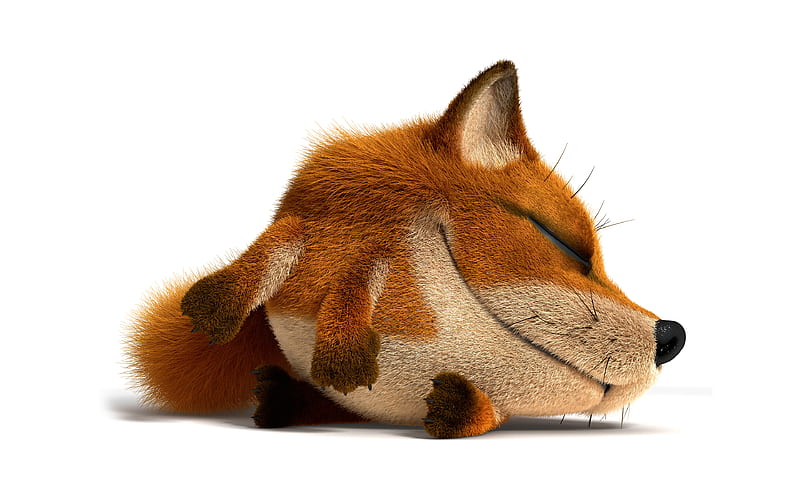 sleeping fox white backgrounds, 3D animals, cartoon 3D fox, funny animals, fox, HD wallpaper