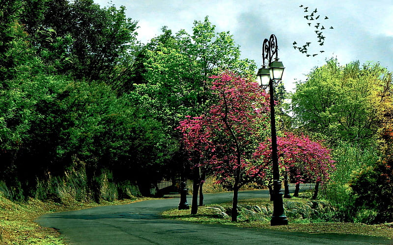 THE ROAD, green, nature, lamp post, road, trees, HD wallpaper