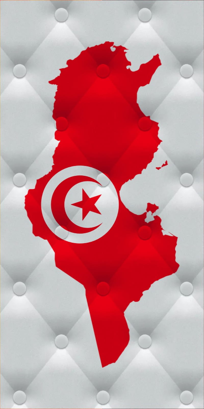 Tunisia , abstract, flower, flower, gris, gris, taraji, tun, tunis, tunisie, HD phone wallpaper