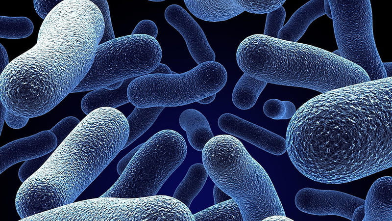 Bacteria Cellular, HD wallpaper