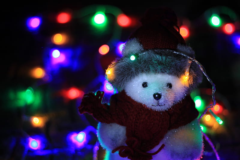 Holiday, Christmas, Teddy Bear, HD wallpaper