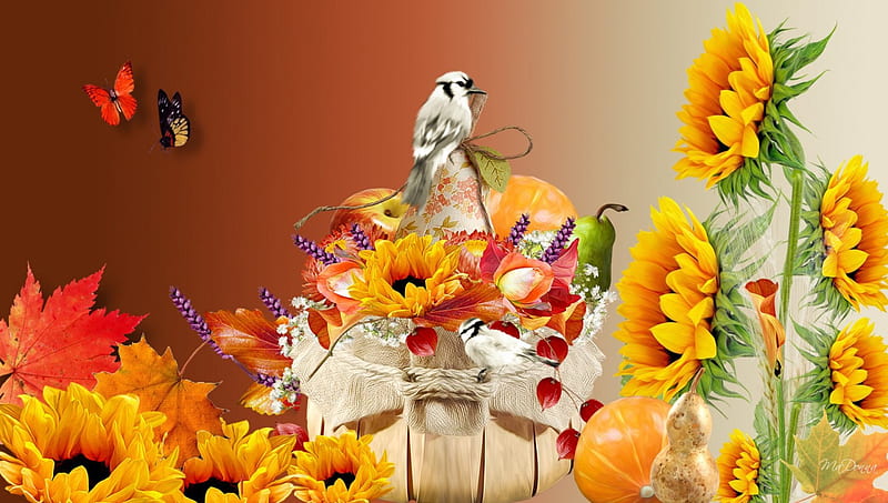 Autumn Calling, fall, flowers, autumn, grass, wheat, seeds, leaves, gourd, sunflowers, pumpkin, bright, papillon, flowers, harvest, food, birds, butterflies, thanksgiving, basket, HD wallpaper