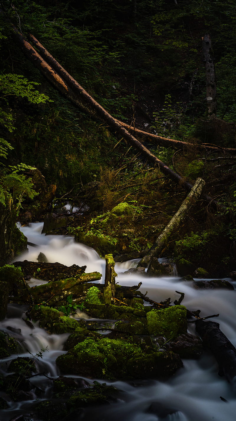 river, stream, stones, moss, branches, HD phone wallpaper