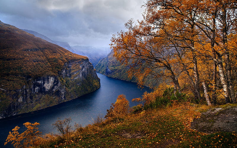 fjord, autumn landscape, yellow trees, rocks, autumn, morning, cloudy weather, autumn weather, Norway, HD wallpaper