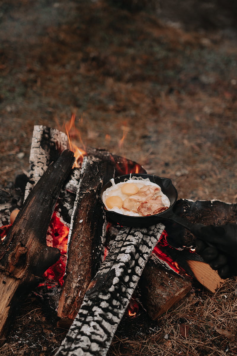 camping, bonfire, breakfast, nature, HD phone wallpaper