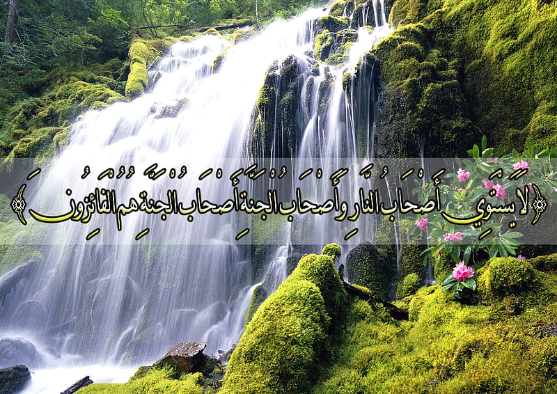 Owners of paradise, paradise, best, peace, great, top, islam, HD wallpaper