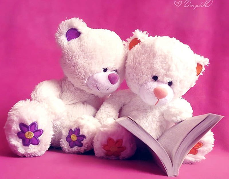 Once upon a time..., toy, book, valentine, sweet, cute, child, funny, teddy bear, pink, couple, HD wallpaper